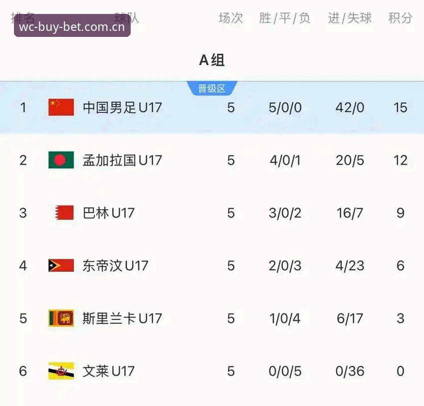 世界杯足球彩票2026最新版本 U17世界杯抽签结果出炉,如何通过世界杯足球彩票2026最新版本追踪中国队的出线之路?